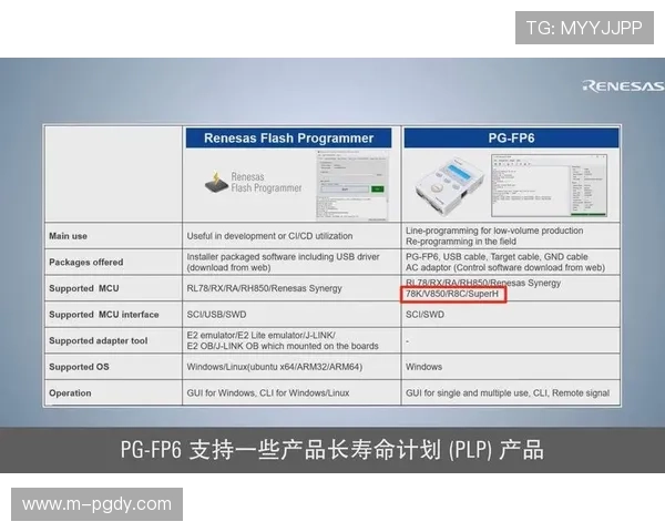 PG体育平台网址最新入口提供详细指南帮助玩家轻松登录享受优质体育赛事体验